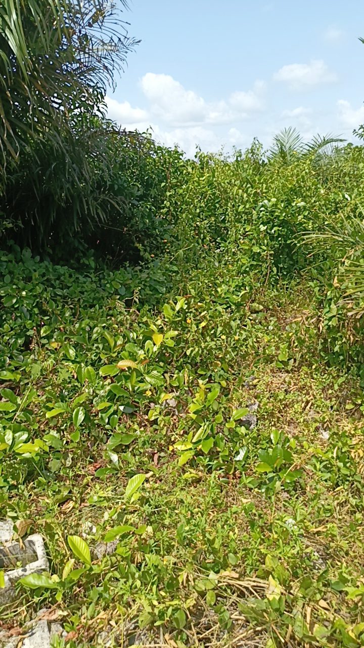 IMG_20231027_134319_1