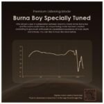oraimo SpacePods x Burna Boy ANC True Wireless Earbuds