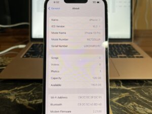Iphone 13 pro max