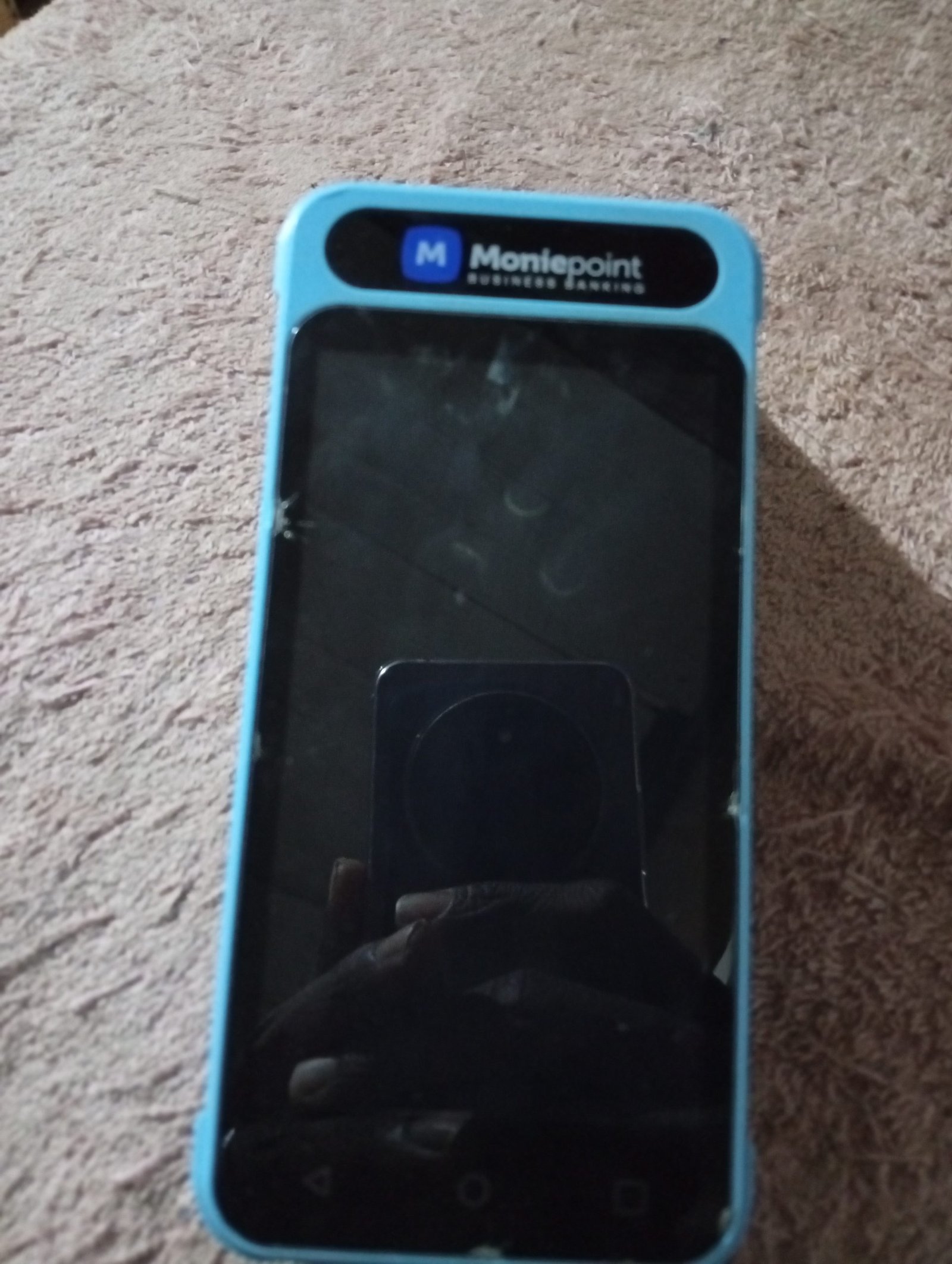 Moniepoint POS