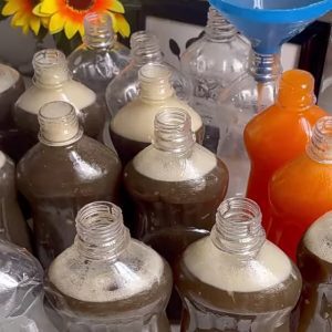 Screenshot_20241207-103656_1