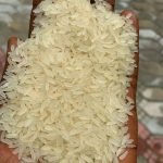 Rice Greenfield and mills