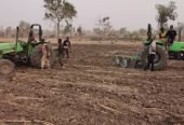 Prime Farmland Available for Long-Term Lease in Shendam, Plateau State!