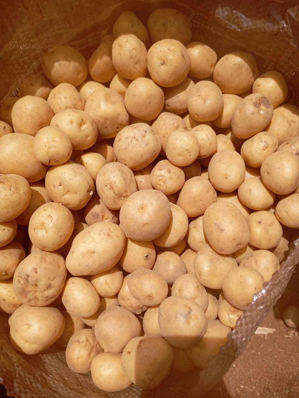Irish potatoes