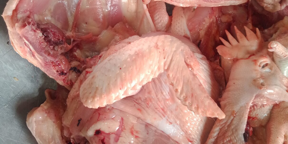 Drying of livestock