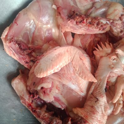Drying of livestock