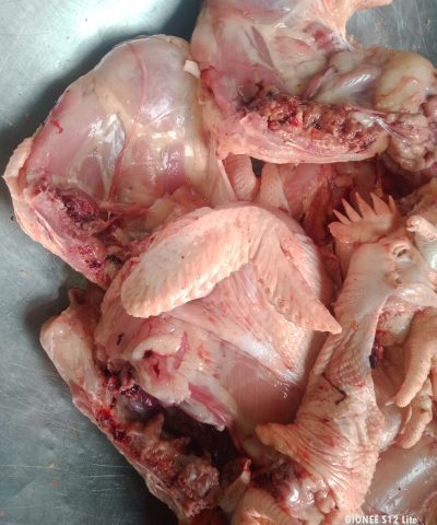 IMG_20250417_085008738