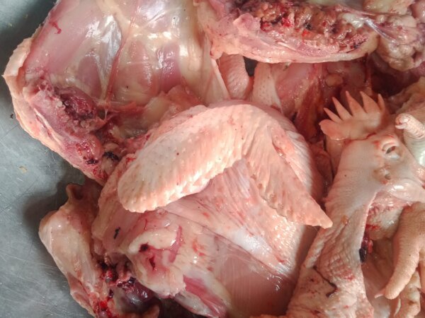 Drying of livestock