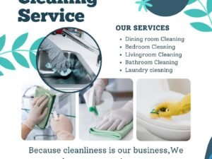 Emmy laundry/home cleaning service
