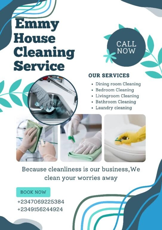 Emmy laundry/home cleaning service