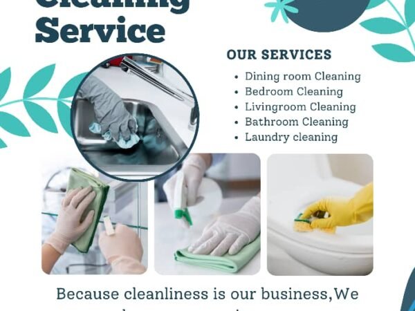 Emmy Laundry/Home Cleaning Service