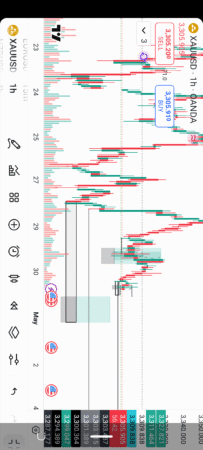 Forex mentorship