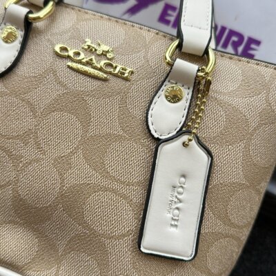 Coach luxury bag