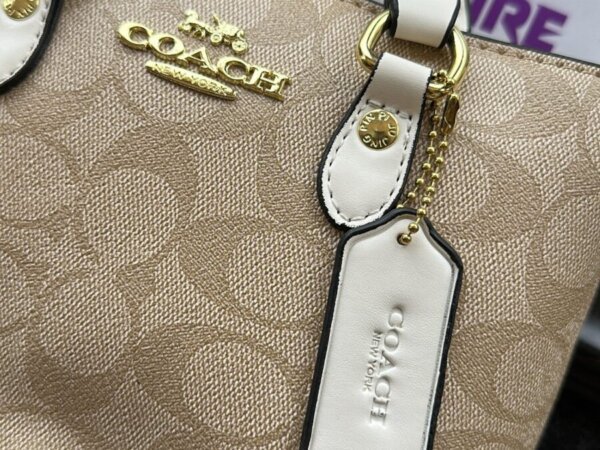 Coach luxury bag