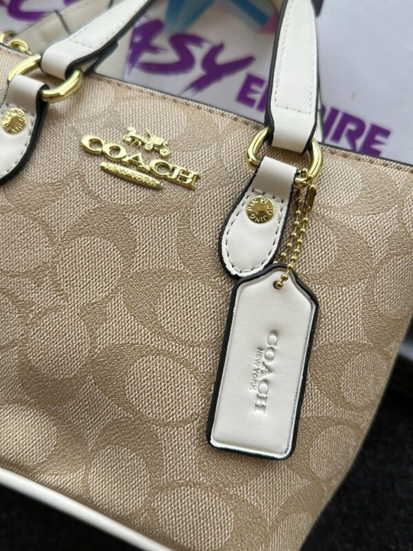 Coach luxury bag