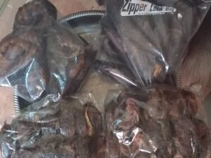 Dried fish