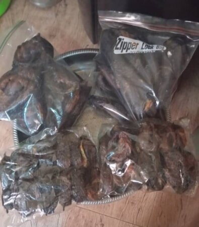 Dried Fish