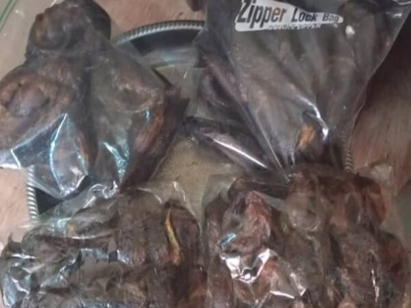 Dried Fish