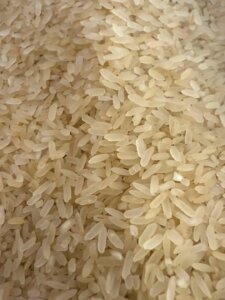 Rice Rice