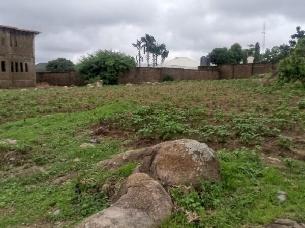 2 plots of land for sell