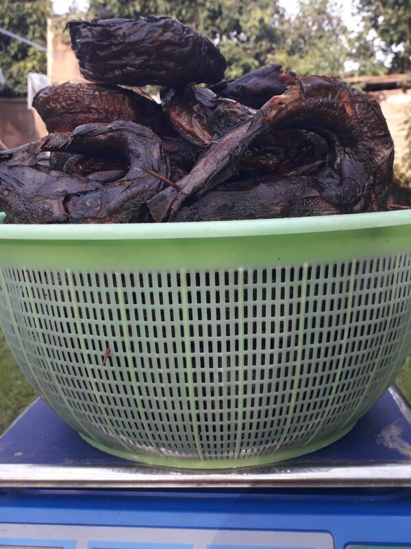 Dry  and fresh Catfish