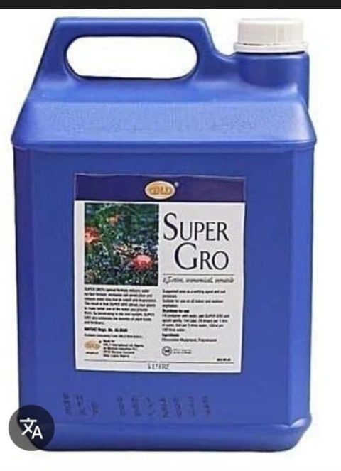 IMG-20250709-WA0000-1