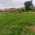 2 plots of land for sell