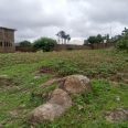 2 plots of land for sell