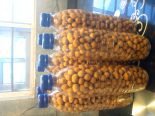 Peanuts