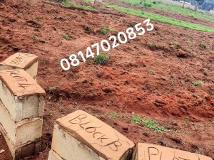 4 plot of land
