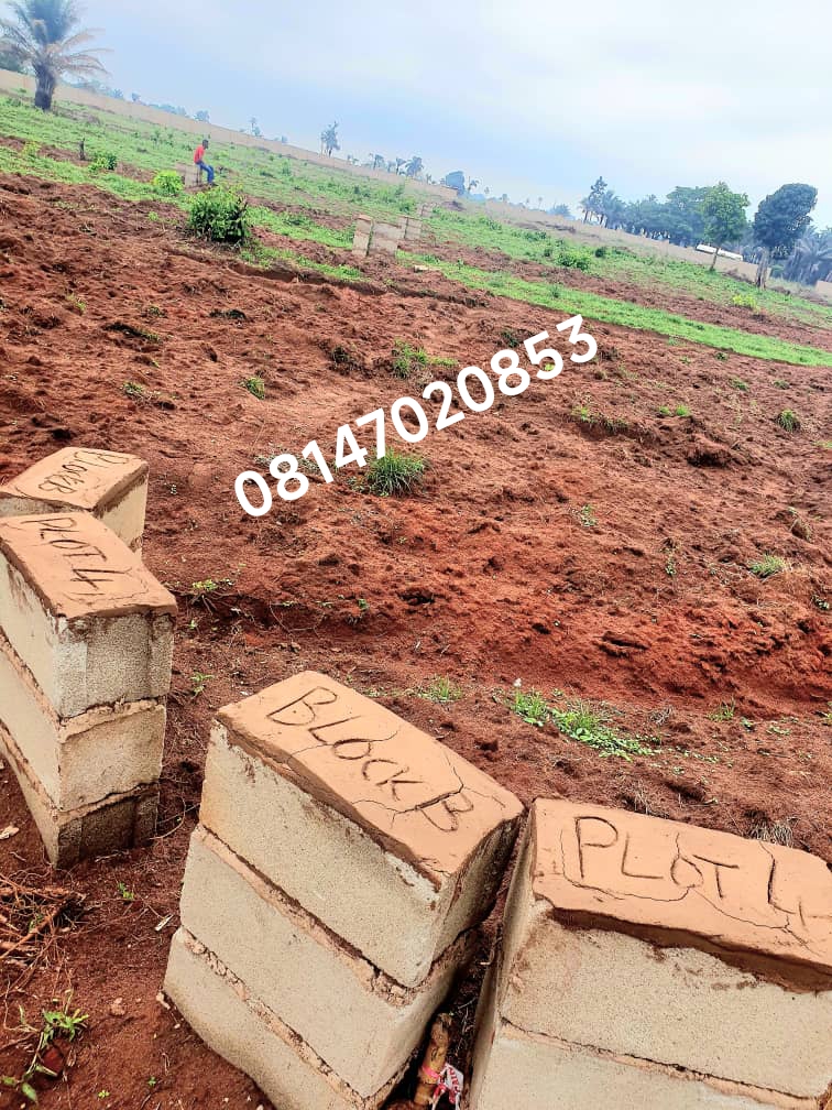 4 plot of land
