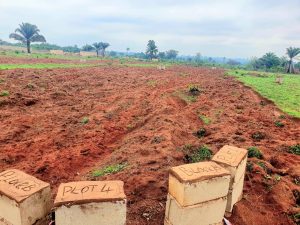 4 plot of land