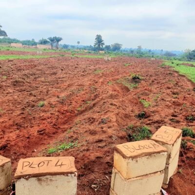 4 plot of land
