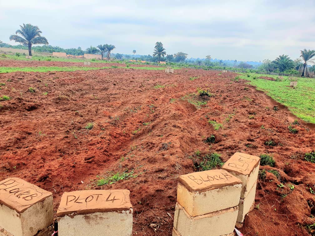 4 plot of land