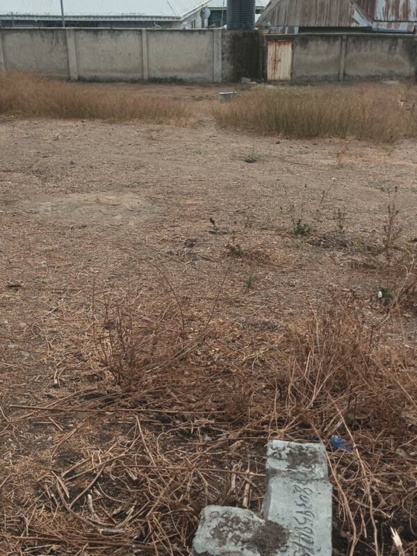Land for sale