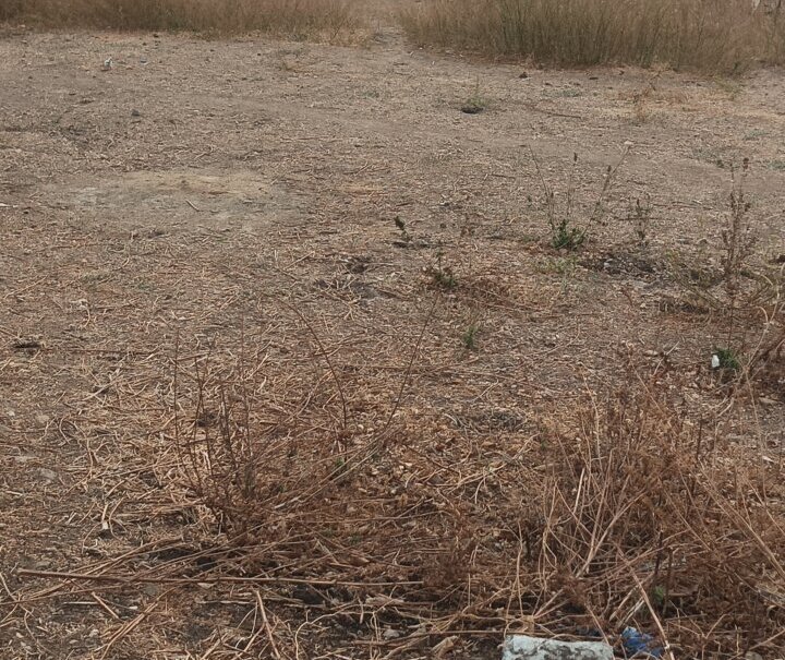 Land for sale Land for sale