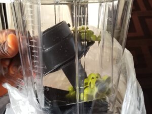 2L Silvercrest electronic blender with extra container for crucibles