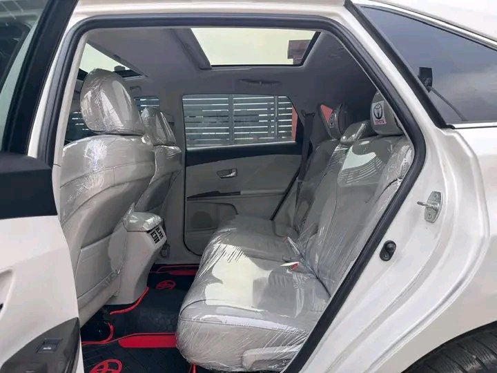 2010 Toyota Venza