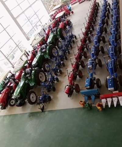 IMG-20250228-WA0010