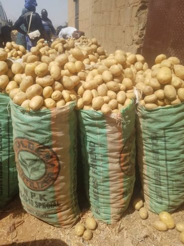 Irish potatoes