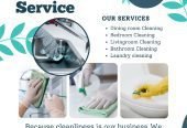 Emmy Laundry/Home Cleaning Service