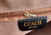 Coach luxury bag