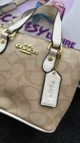 Coach luxury bag