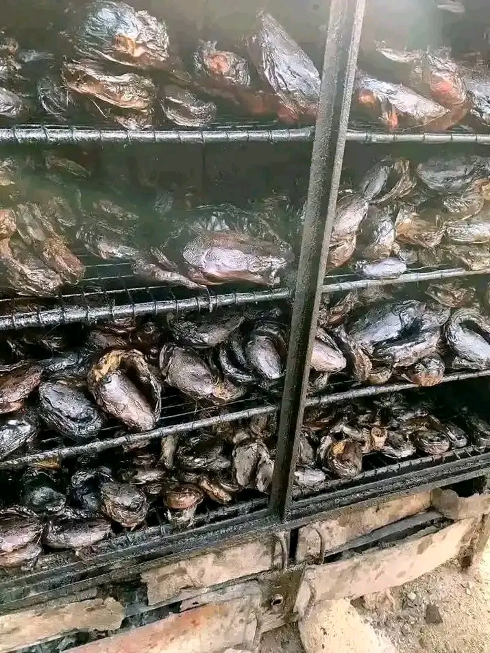 DRY SMOKE FISH