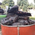 Dry  and fresh Catfish