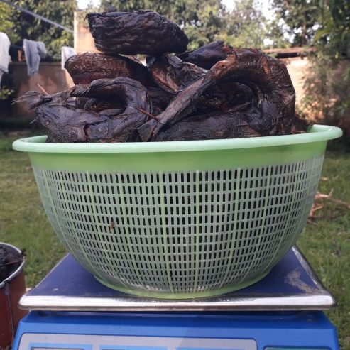 Dry  and fresh Catfish