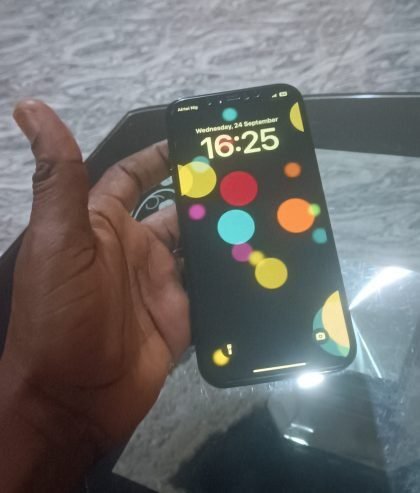 iPhone 12 pro Max