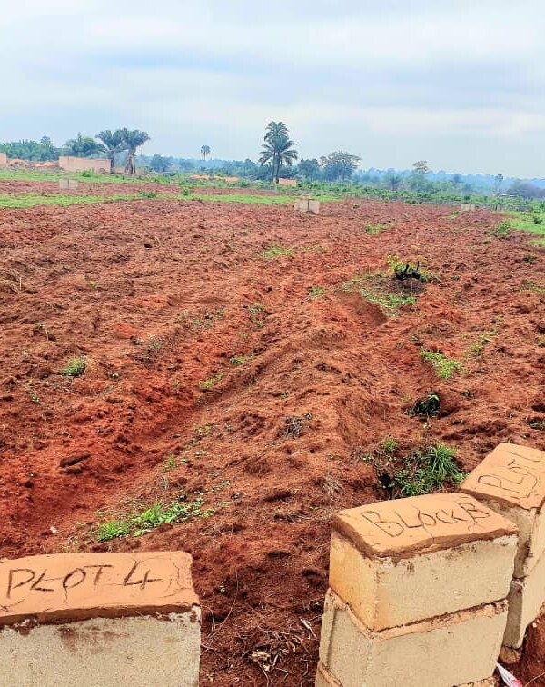 4 plot of land