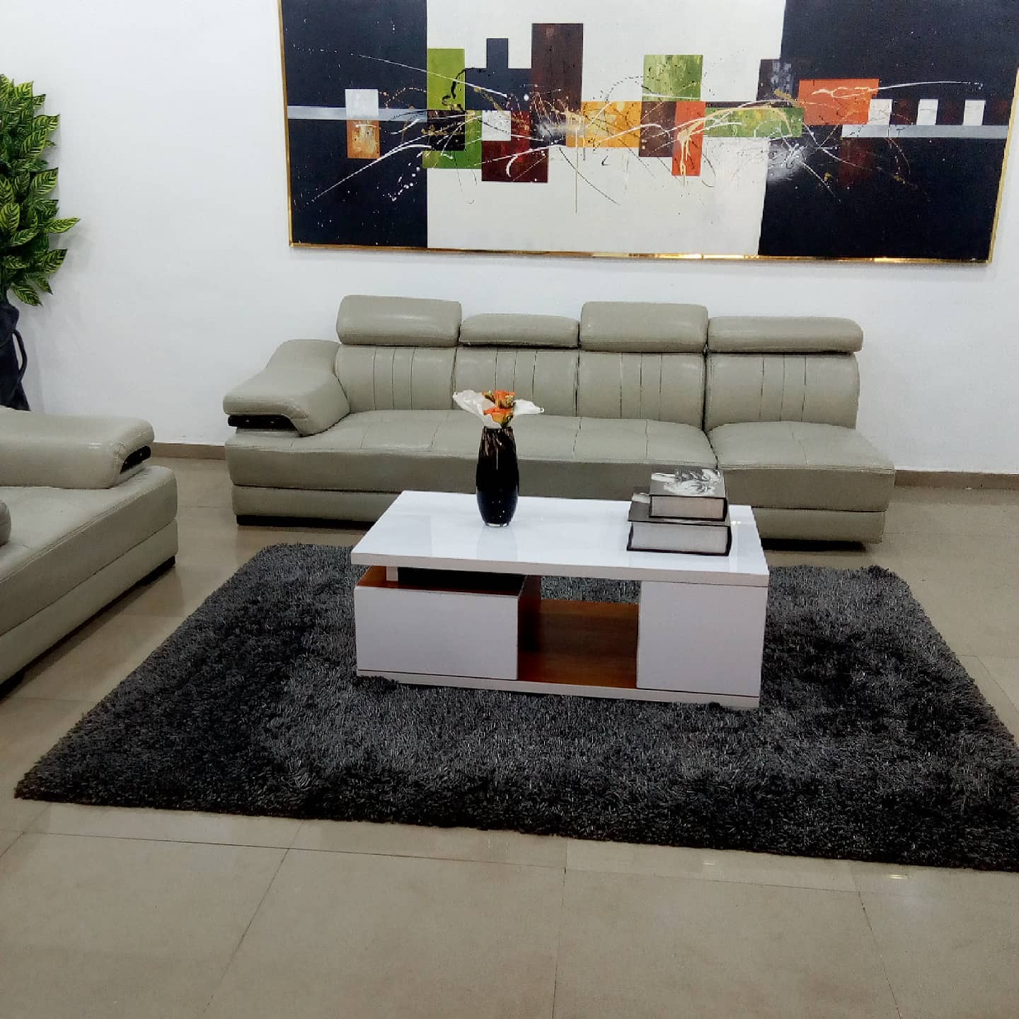 Premium White Coffee Table